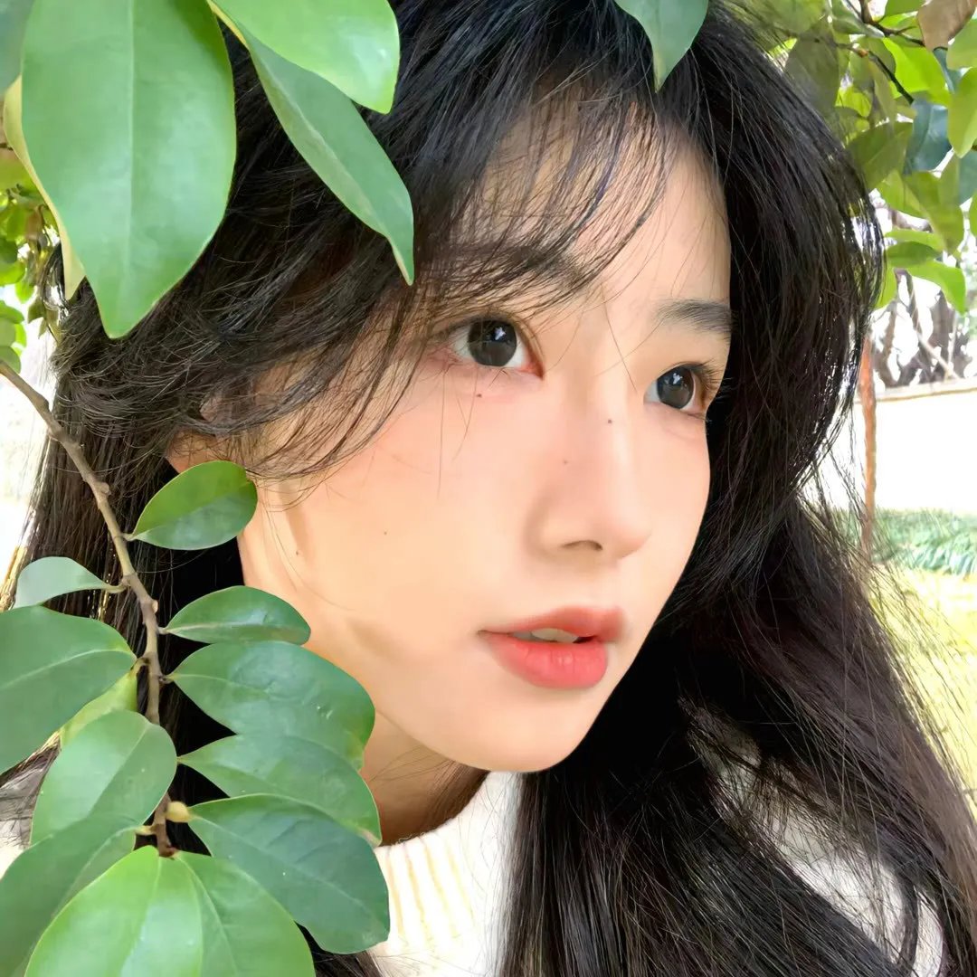 群花绽放、彷如修罗