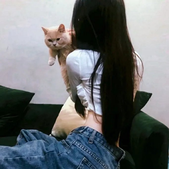 怪猫菲力兹